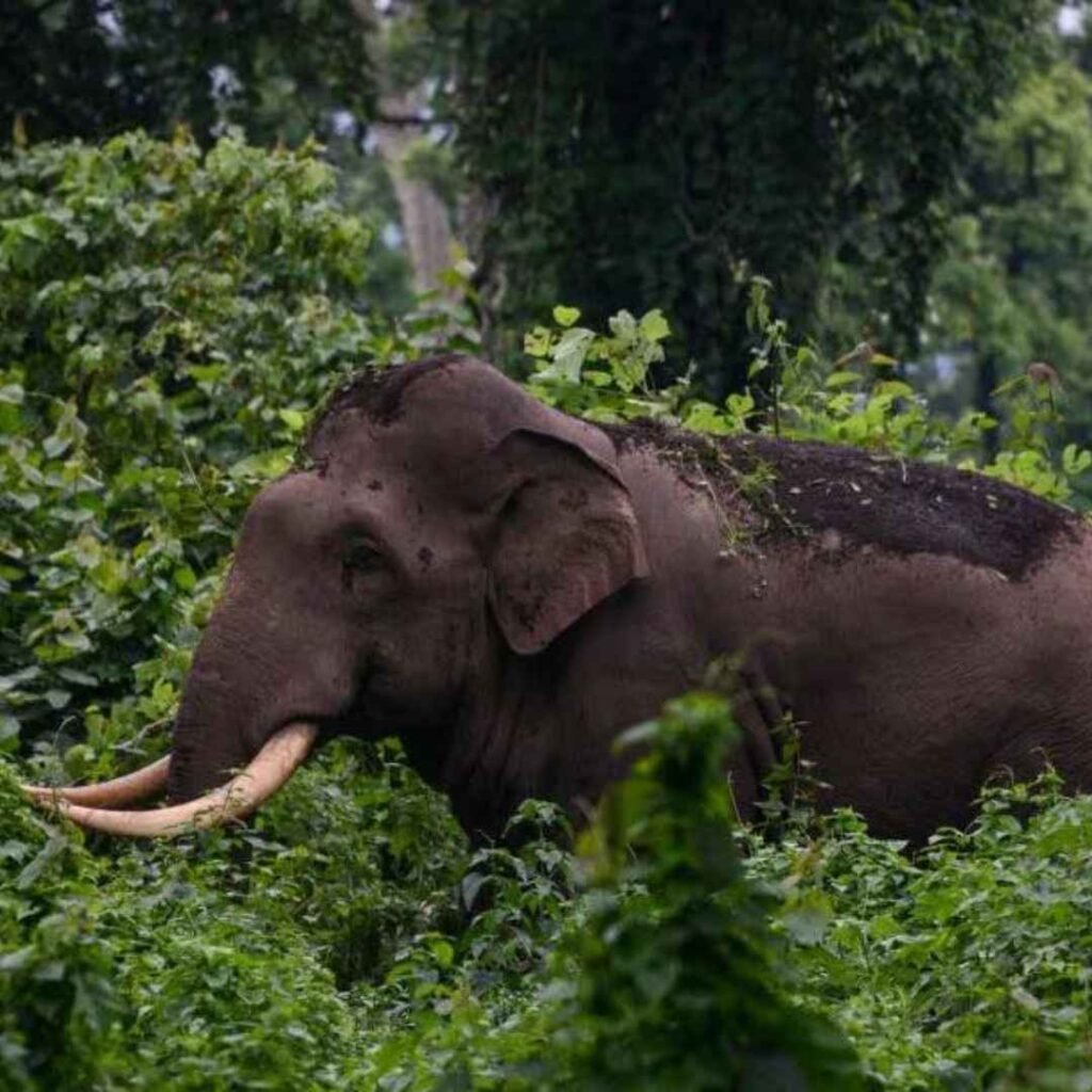 Kerala news