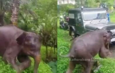Kerala news
