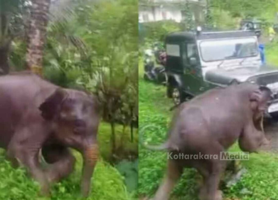 Kerala news